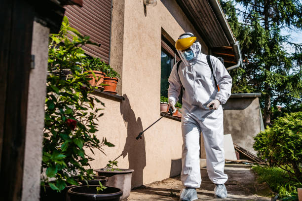 Best Pest Prevention Services  in Page, AZ