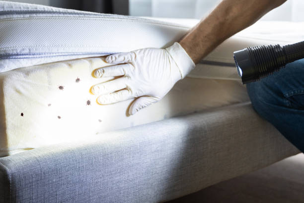 Best Best Pest Control Companies  in Page, AZ